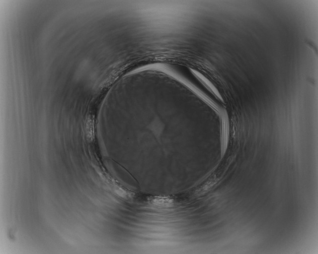 X0000099480471200806061250
