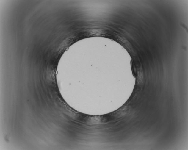 X0000099480473200806061250