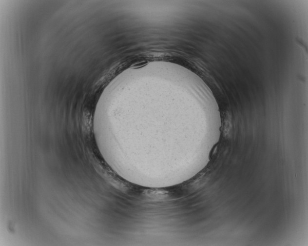 X0000099480476200806061250