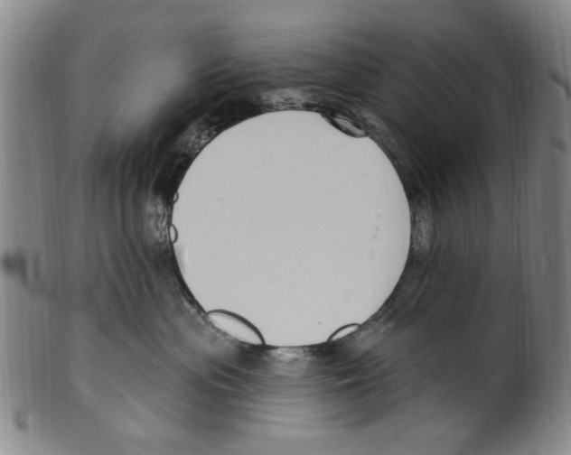 X0000099480477200806061250