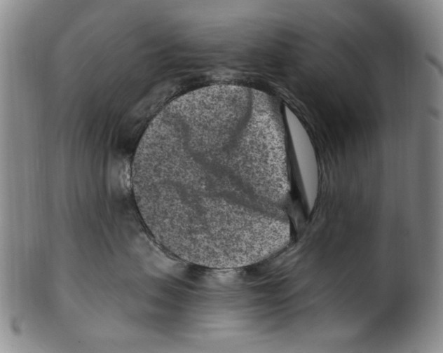 X0000099480479200806061250