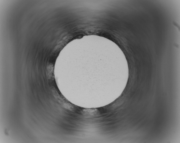X0000099480480200806061250