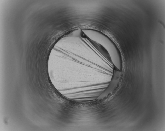 X0000099480481200806061249