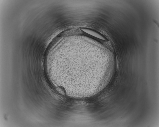 X0000099480483200806061249