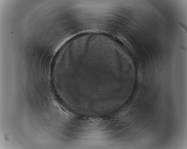 X0000099480484200806061249