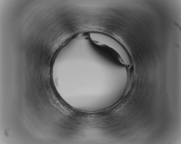 X0000099480485200806061249