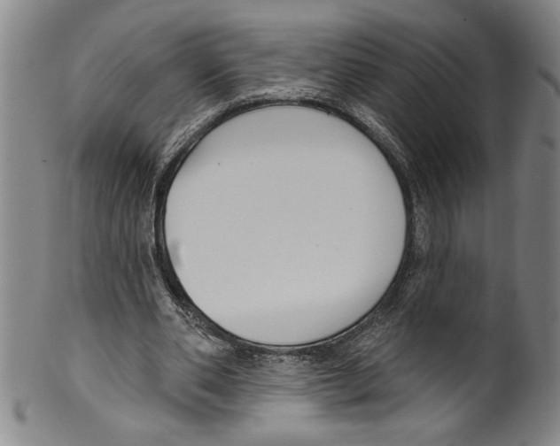 X0000099480486200806061249