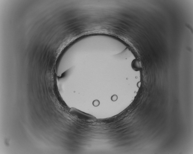 X0000099480487200806061249