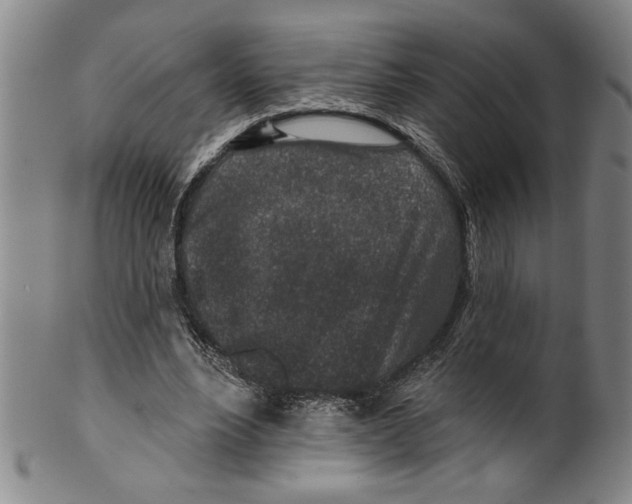 X0000099480488200806061249