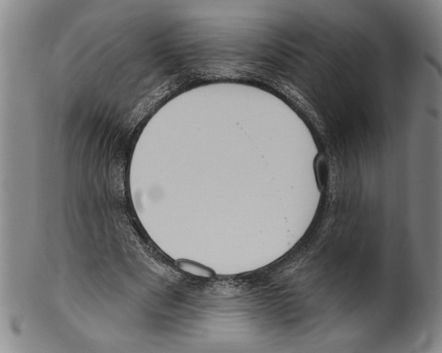 X0000099480489200806061249
