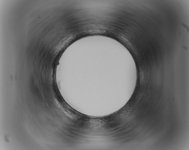 X0000099480490200806061249