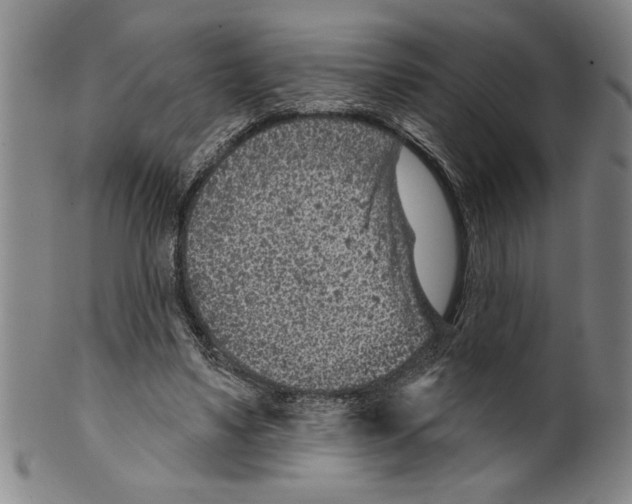 X0000099480491200806061249