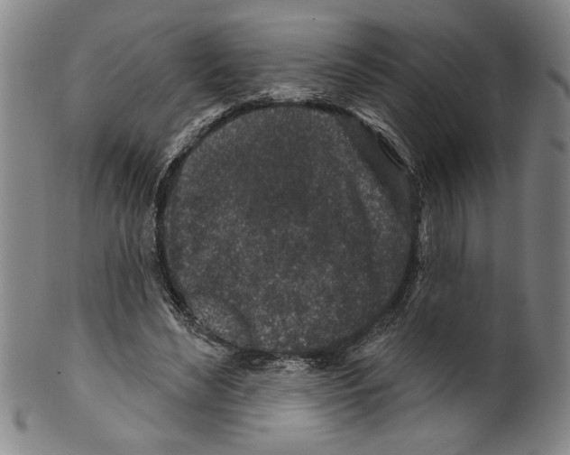X0000099480492200806061249