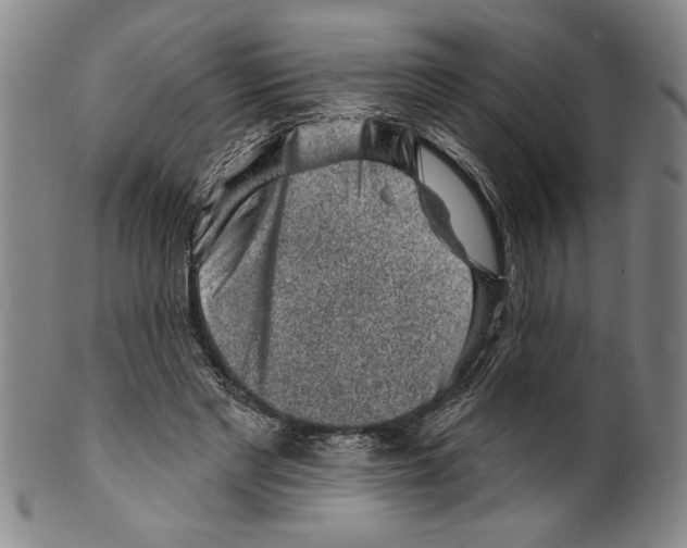 X0000099480493200806061249