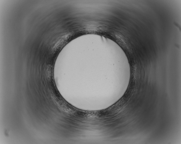 X0000099480495200806061249