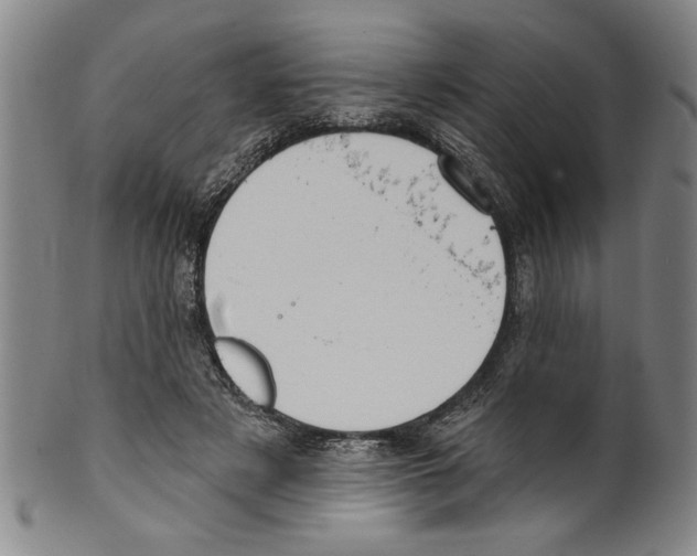 X0000099480497200806061249