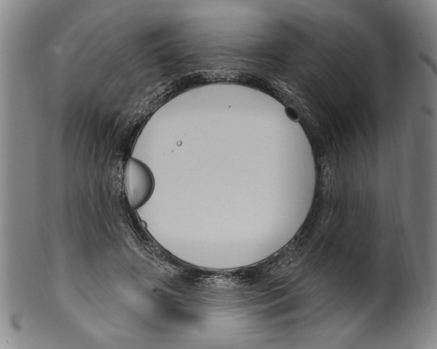 X0000099480498200806061249