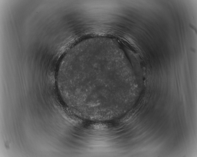X0000099480500200806061248