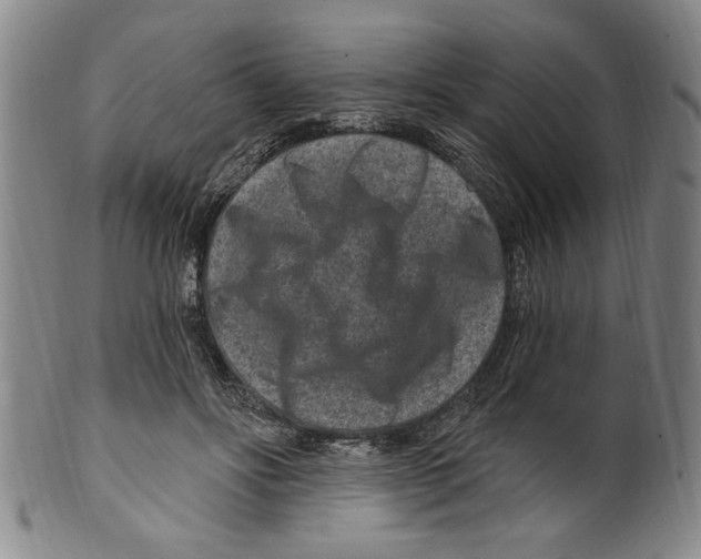 X0000099480502200806061248