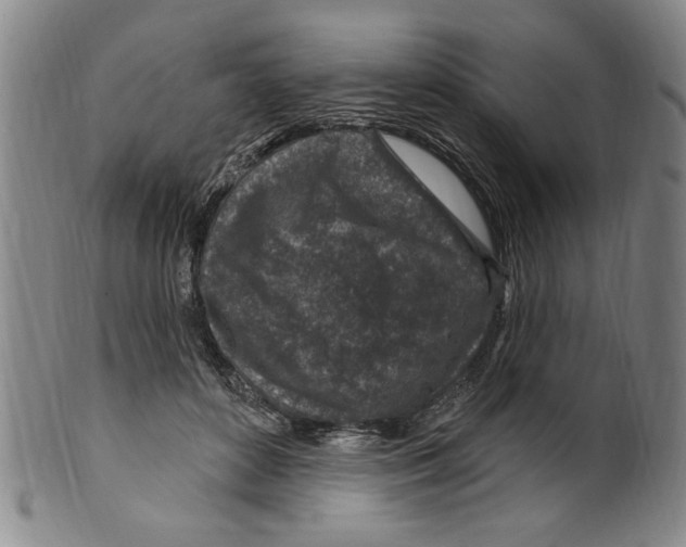 X0000099480504200806061248