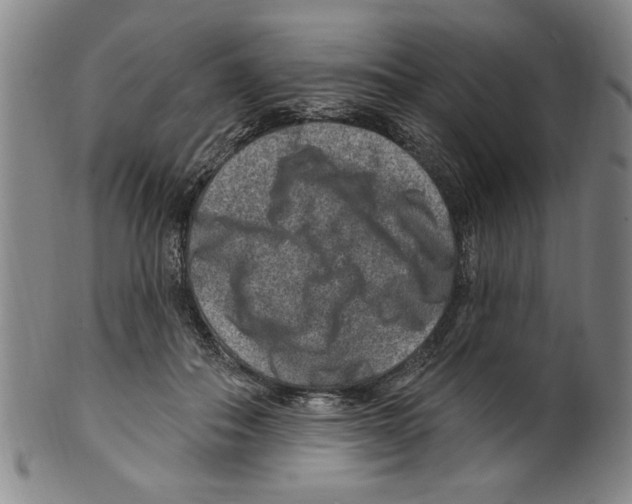 X0000099480506200806061248