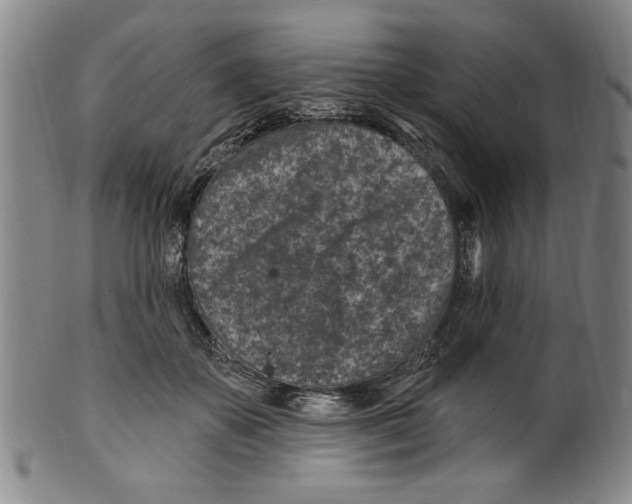 X0000099480507200806061248