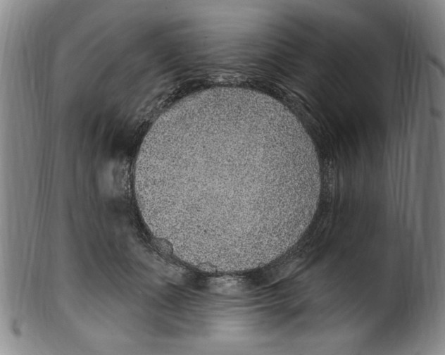 X0000099480511200806061248