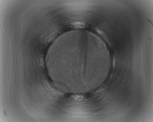 X0000099480512200806061248