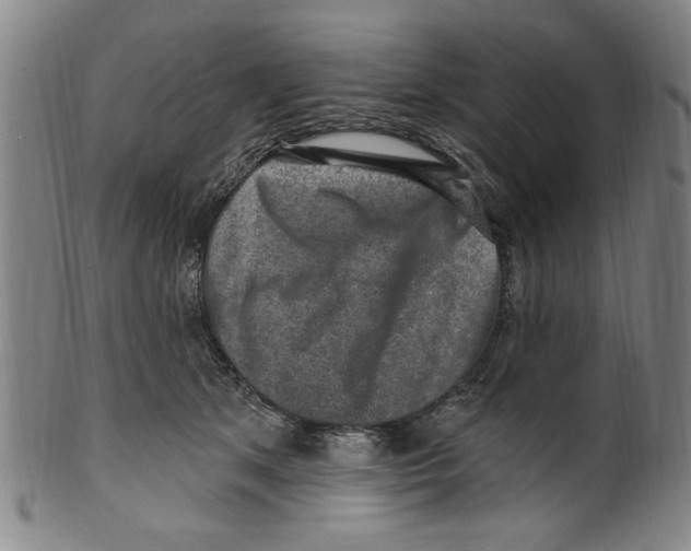 X0000099480513200806061248