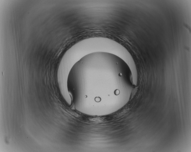 X0000099480516200806061248