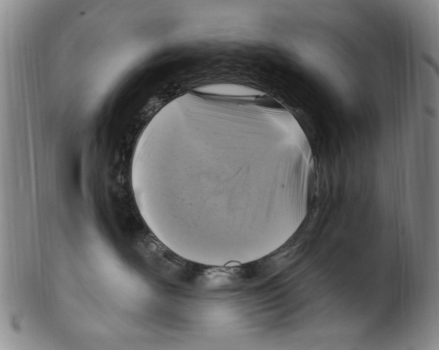 X0000099480526200806061248