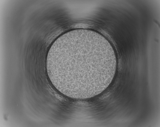 X0000099480529200806061247