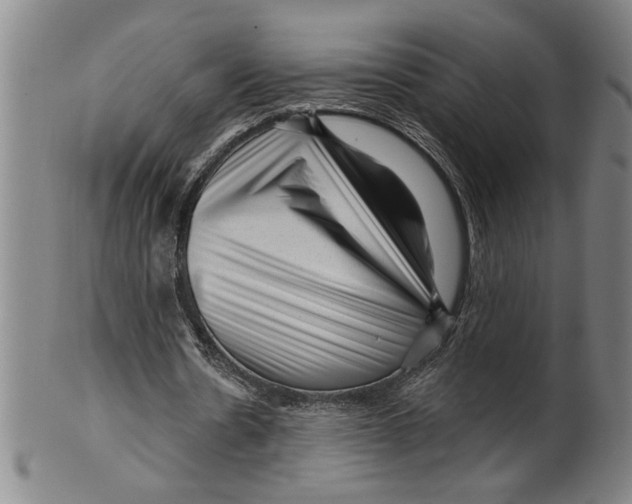 X0000099480530200806061247
