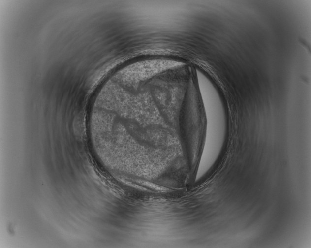 X0000099480531200806061247