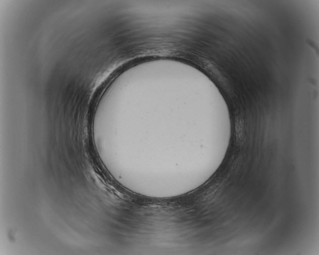 X0000099480532200806061247