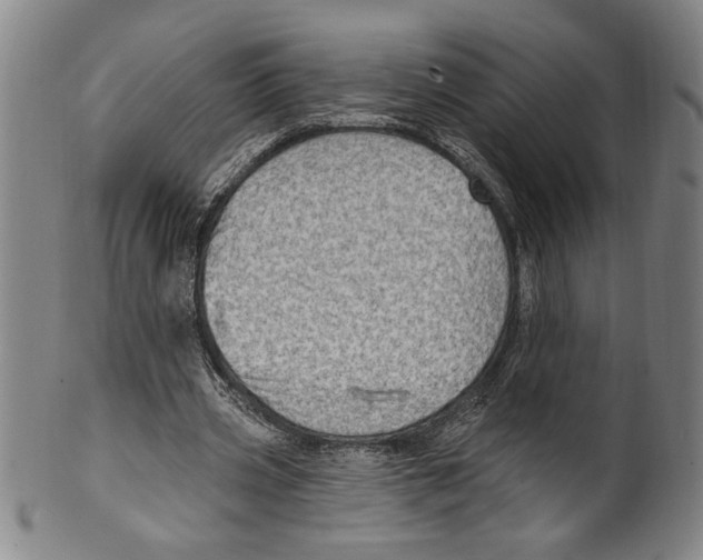 X0000099480533200806061247