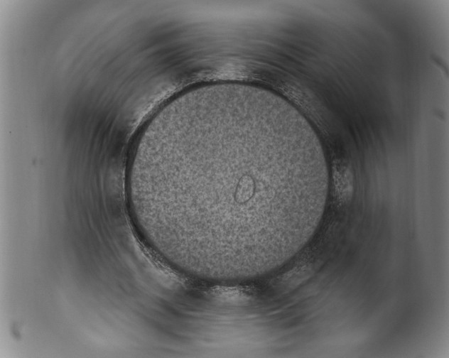X0000099480534200806061247