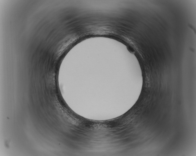 X0000099480535200806061247