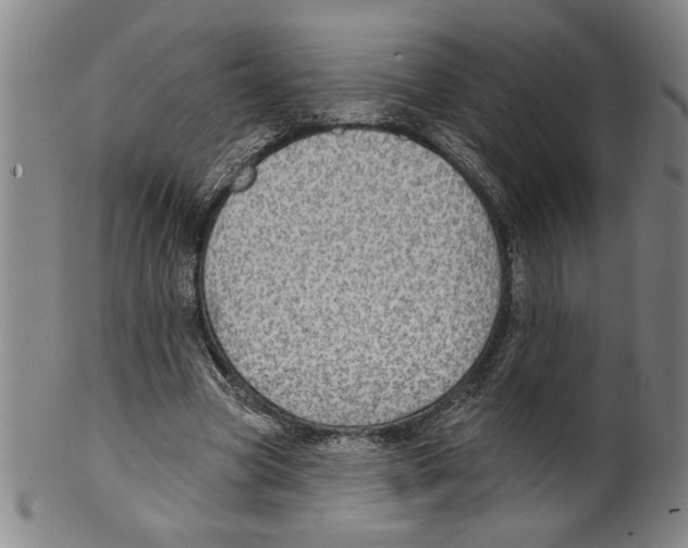X0000099480537200806061248
