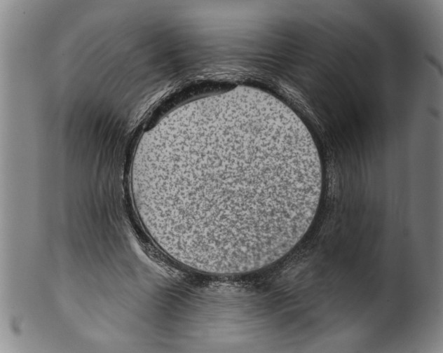 X0000099480538200806061248