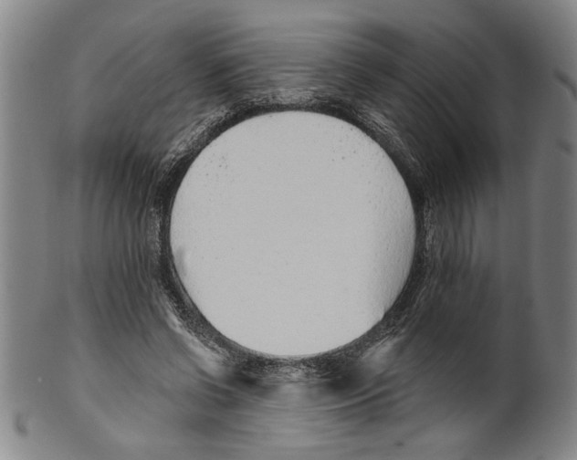 X0000099480542200806061248