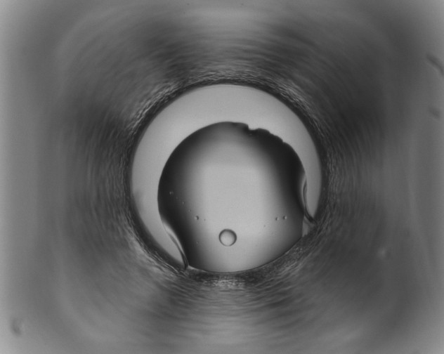 X0000099480546200806061248