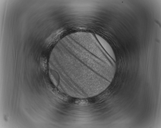 X0000099480559200806061248