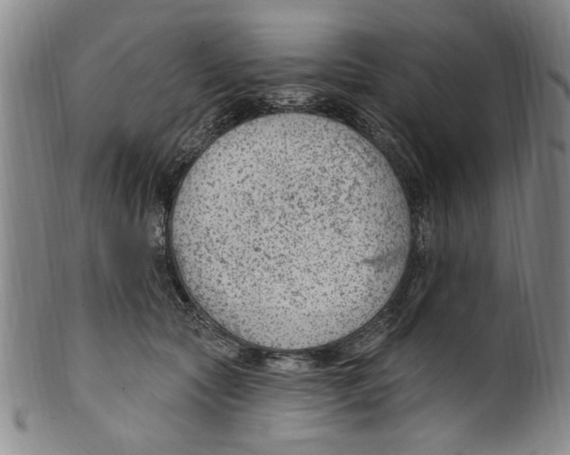 X0000099480561200806061248