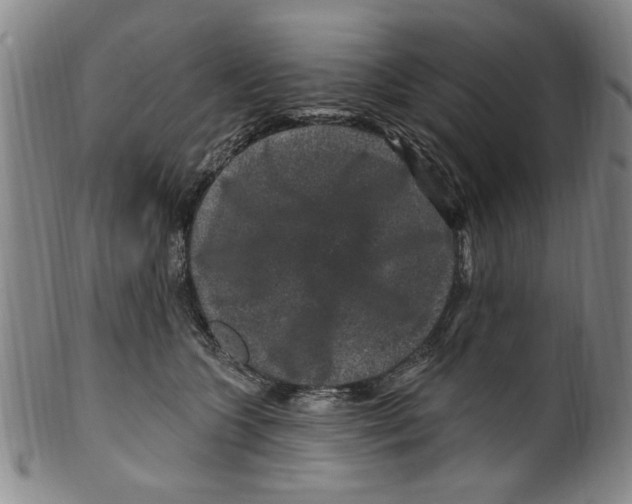 X0000099480563200806061248