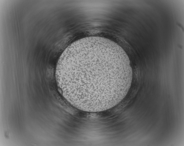 X0000099480565200806061248