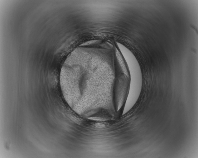X0000099480566200806061248