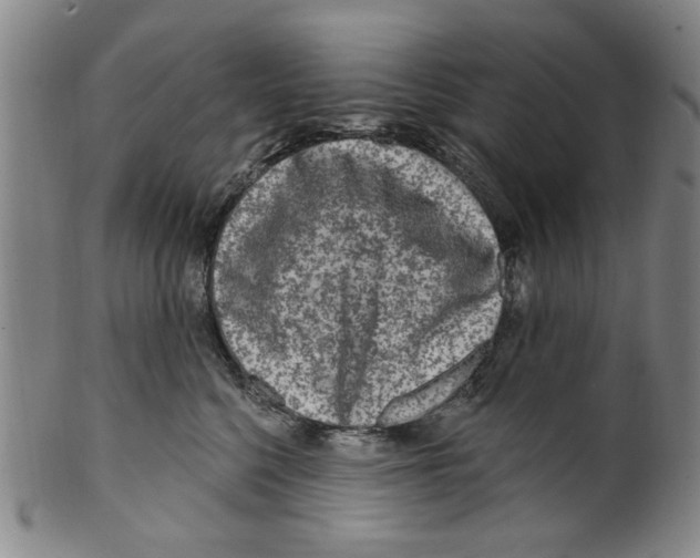 X0000099480568200806061248