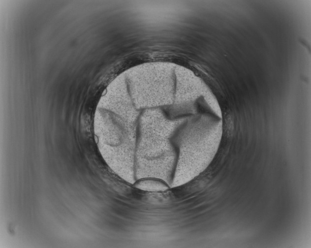 X0000099480571200806061248