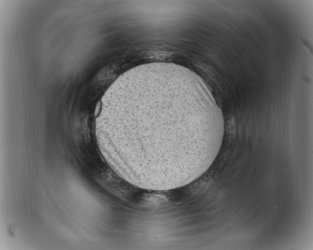 X0000099480572200806061248